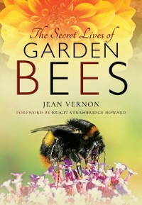 Cover Secret Lives of Garden Bees