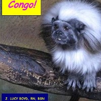 Cover Congo!