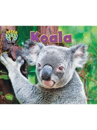 Cover Koala