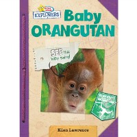 Cover Baby Orangutan