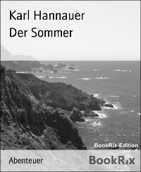Cover Der Sommer