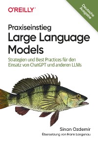 Cover Praxiseinstieg Large Language Models