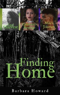 Cover Finding Home Mystery Series