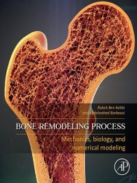 Cover Bone Remodeling Process