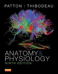 Cover Anatomy and Physiology - E-Book