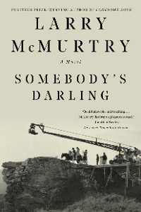 Cover Somebody's Darling: A Novel