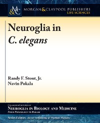 Cover Neuroglia in C. elegans