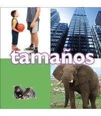 Cover Tamaños