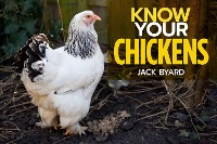 Cover Know Your Chickens