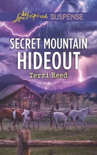 Cover Secret Mountain Hideout