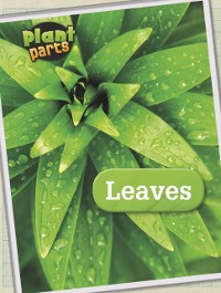 Cover Leaves