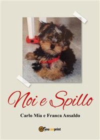 Cover Noi e Spillo