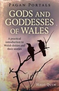 Cover Pagan Portals - Gods and Goddesses of Wales