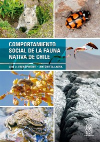 Cover Comportamiento social de la fauna nativa de Chile