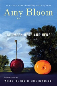 Cover Between Here and Here (short story)
