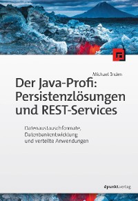 Cover Der Java-Profi: Persistenzlösungen und REST-Services