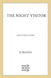 Cover Night Visitor