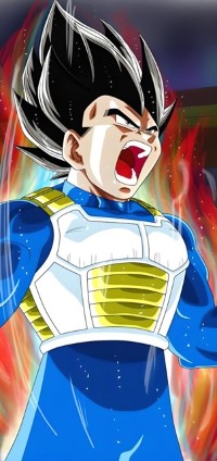 Cover Os Segredos de Vegeta.