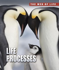 Cover Life Processes