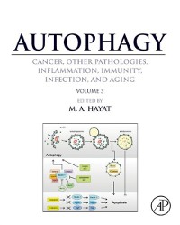 Cover Autophagy: Cancer, Other Pathologies, Inflammation, Immunity, Infection, and Aging
