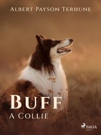 Cover Buff: A Collie