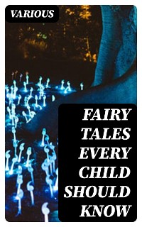 Cover Fairy Tales Every Child Should Know