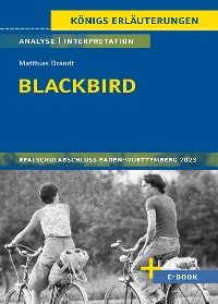 Cover Blackbird von Matthias Brandt - Textanalyse und Interpretation