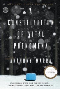 Cover Constellation of Vital Phenomena