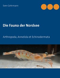Cover Die Fauna der Nordsee