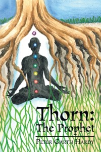 Cover Thorn: the Prophet