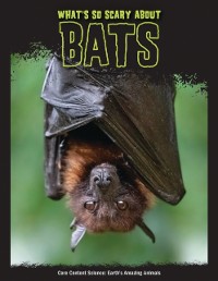 Cover What's So Scary about Bats?
