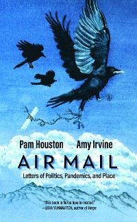 Cover Air Mail
