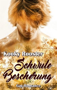 Cover Schwule Bescherung