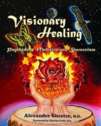 Cover VISIONARY HEALING Psychedelic Medicine and Shamanism