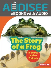 Cover Story of a Frog