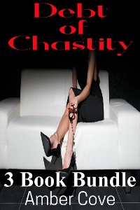 Cover Debt of Chastity 3 Book Bundle