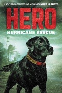 Cover Hero: Hurricane Rescue