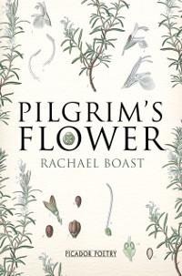 Cover Pilgrim's Flower