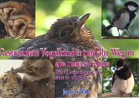 Cover Gestrandete Vogelkinder und ihr Weg in ein neues Leben