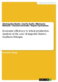 Cover Economic efficiency in wheat production. Analysis of the case of Angecha District, Southern Ethiopia