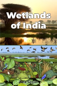 Cover Wetlands of India