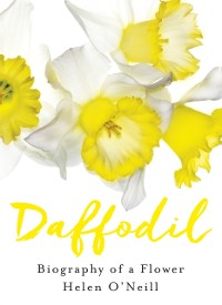 Cover Daffodil