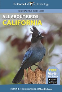 Cover All About Birds California