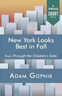 Cover New York Looks Best in Fall