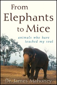 Cover From Elephants to Mice