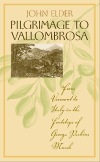 Cover Pilgrimage to Vallombrosa