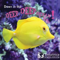 Cover Down in the Deep Deep Ocean