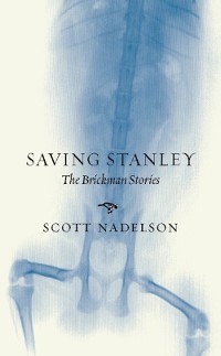 Cover Saving Stanley