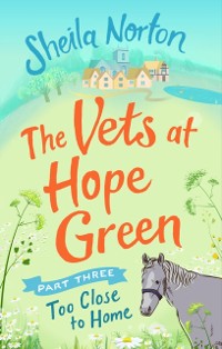 Cover The Vets at Hope Green: Part Three