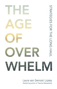 Cover Age of Overwhelm